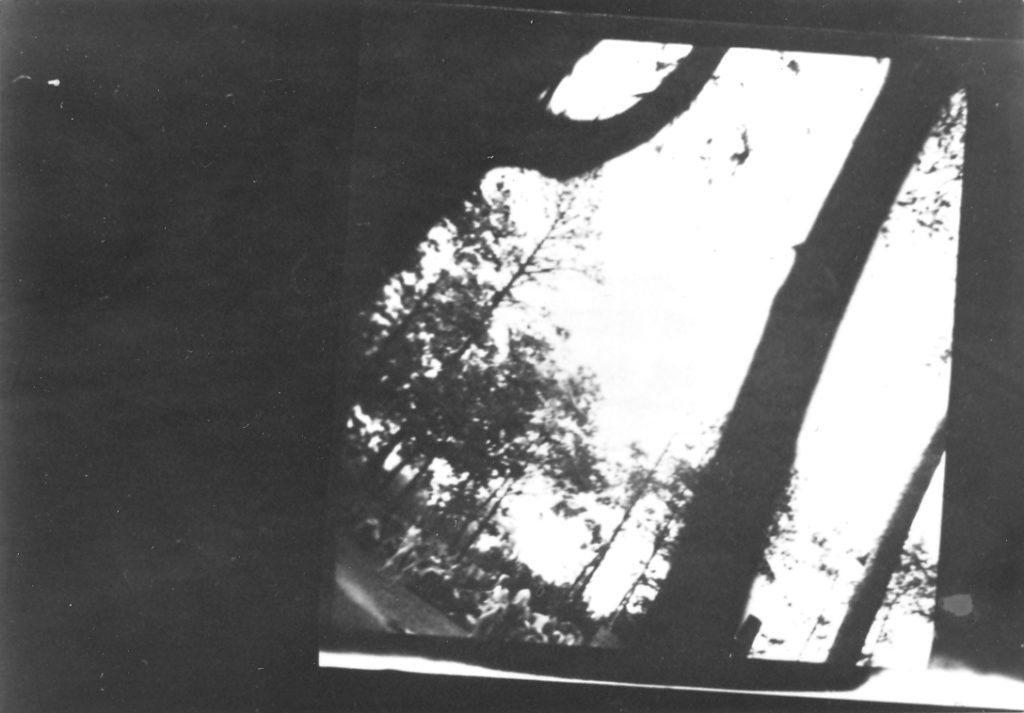 Femmes poussées vers la chambre à gaz du crématoire V de Birkenau